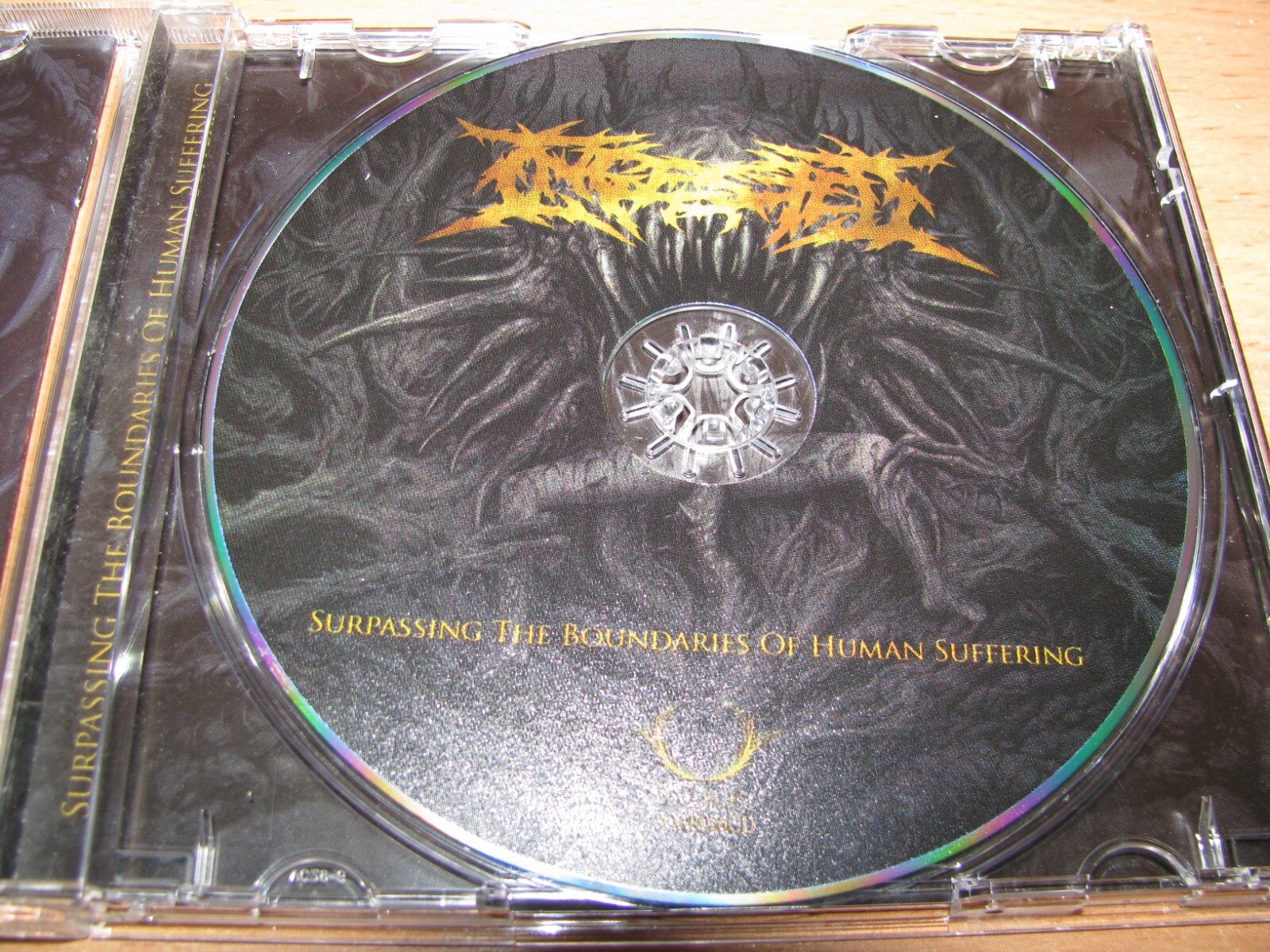 INGESTED Surpassing The Boundaries (2009 Siege Of Amida 1st pr)Gorgasm, Disgorge