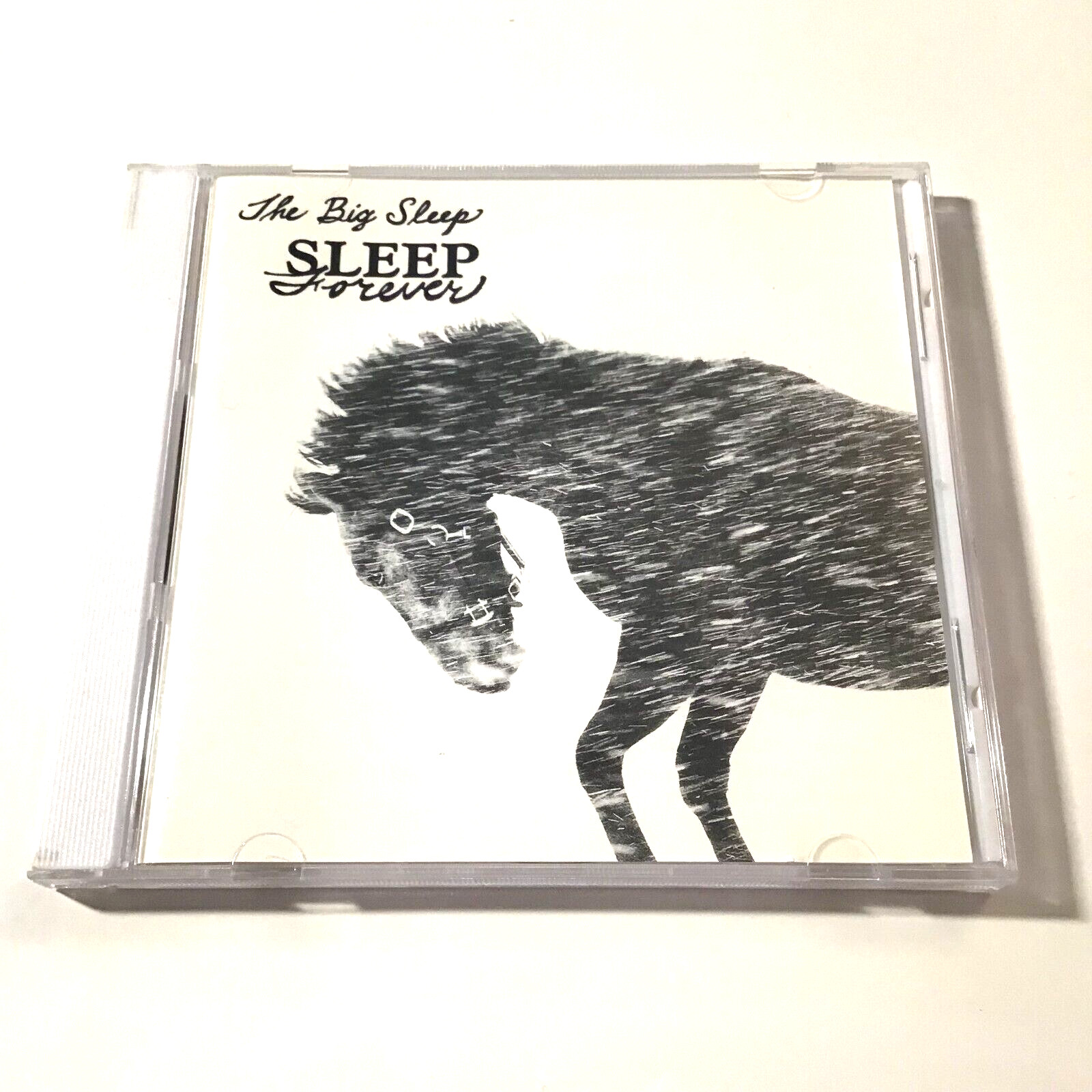 The Big Sleep – Sleep Forever (CD, 2008) Psychedelic Rock, Rare