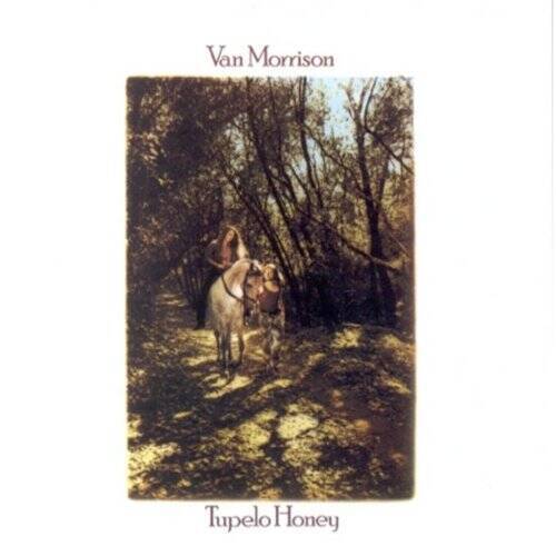 Tupelo Honey – Audio CD By Van Morrison – GOOD