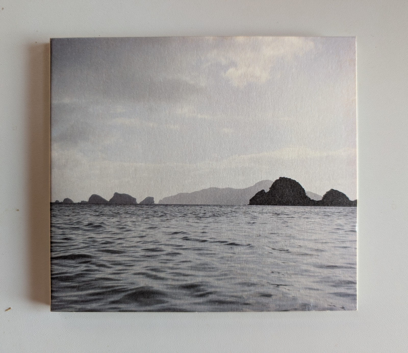 Tribes At The Temple Of Silence CD by bvdub. UK. Mint Condition. Free Shipping.